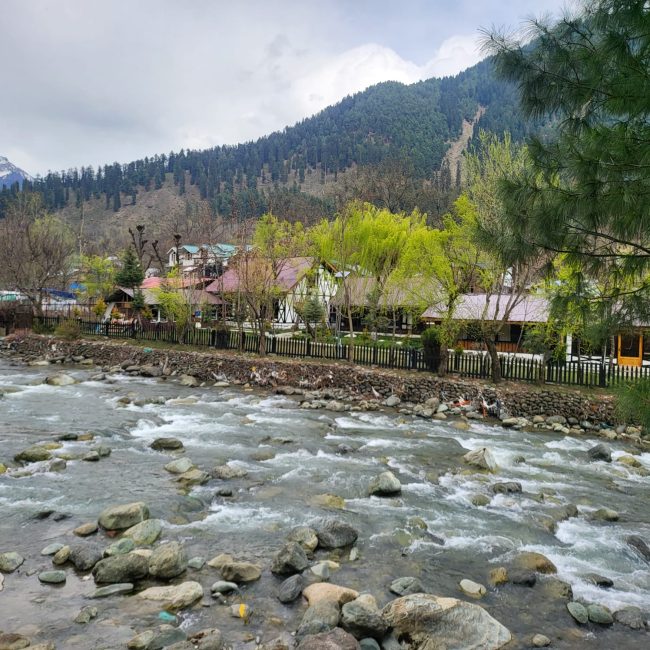 WhatsApp Image 2026-04-14 at 11.02.25